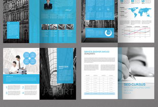 2017大氣企業(yè)形象畫(huà)冊(cè)設(shè)計(jì)模板 打造專業(yè)國(guó)內(nèi)貿(mào)易代理品牌形象